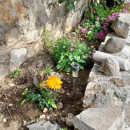 Apartmani Sanja Sibenik Phòng bức ảnh