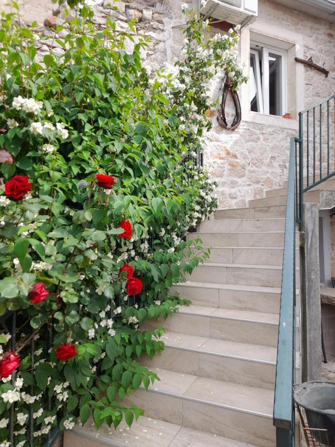 Apartmani Sanja Sibenik Ngoại thất bức ảnh